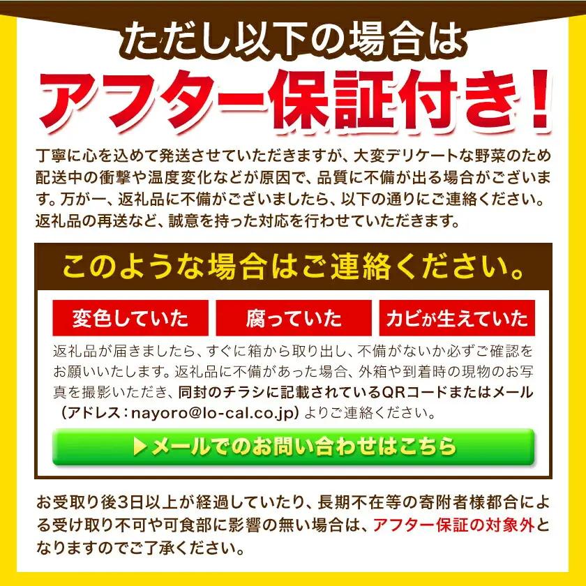 極甘 とうもろこし ゴールドラッシュ 10kg 北海道 名寄 スイートコーン