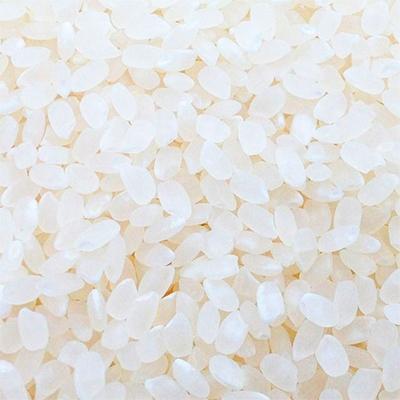 ふるさと納税 南魚沼市 特別栽培米　南魚沼産コシヒカリ 富三郎 無洗米 5kg |  | 03