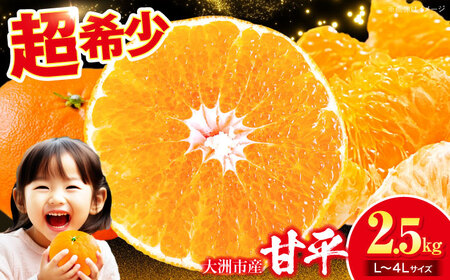  甘平 2.5kg 【2月下旬より順次発送】（Lから4Lサイズ）甘平 かんぺい[AGAR010]