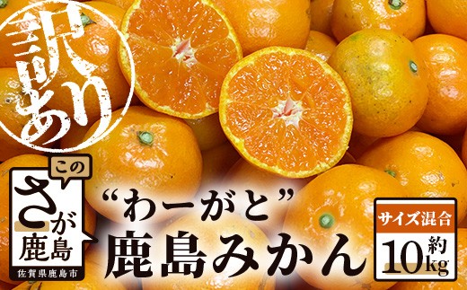 
            【先行予約】（2026年11月上旬～発送）”わーがと”鹿島産がばい訳アリみかん 約10kg【サイズ混合】【期日指定不可】 みかん ミカン 蜜柑 柑橘 果物 フルーツ 甘い ふるさと納税 佐賀県 鹿島市 B-890
          