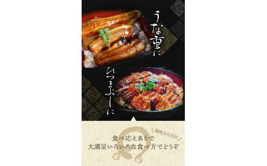 うなぎ ウナギ 鰻 大型サイズ ふっくら柔らか 国産 うなぎ蒲焼き 約170g×2尾 タレ付き【uot302A-3】
