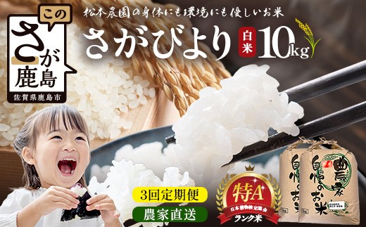 先行受付【3回定期便】令和8年産 新米 さがびより 10kg×3回 計30kg 佐賀県産 特A評価獲得品種 白米 米 お米 こめ 毎月お届け 定期便 佐賀県 鹿島市 J-36
