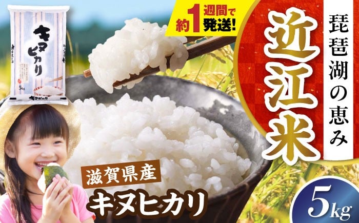 
                  【スピード発送】【令和7年産】米 キヌヒカリ 5kg 白米 滋賀県長浜市/株式会社コメック [AQDH003] 米 お米 白米 5kg きぬひかり 滋賀県産 長浜市産 こめ 精米 お米  食品 国産 米ギフト ブランド米 食卓 美味しい 冷めても美味しい 人気 お弁当 和食 琵琶湖の恵み ご飯のお供 上品な 甘み あっさり カレー 丼 丼もの スピード配送 すぐ発送 すぐ届く 早い
                