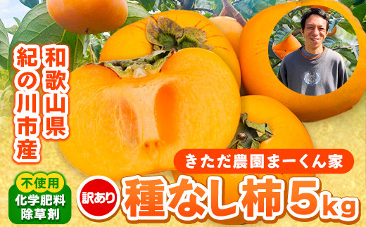 
                  【訳あり】まーくん家のたねなし柿 約5kg 《2026年9月下旬-10月末頃出荷》 かき 種なし きただ農園まーくん家 和歌山県 紀の川市 ご家庭用
                