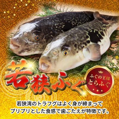 ふるさと納税 小浜市 若狭ふぐ特選セット(4人前)・冷蔵 |  | 01