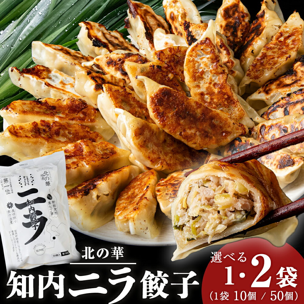 【ふるさと納税】知内ニラ餃子 選べる20個〜100個 【知内観光協会】餃子 肉料理 ぎょうざ ギョウザ 惣菜 北の華 ニラ 韮 野菜 北海道産 知内町 ふるさと納税 北海道グルメ