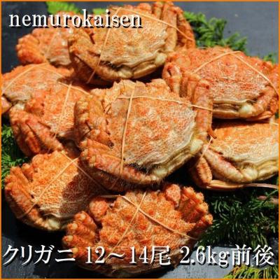ふるさと納税 根室市 【北海道根室産】クリガニ12〜14尾(計2.6kg前後) A-57061