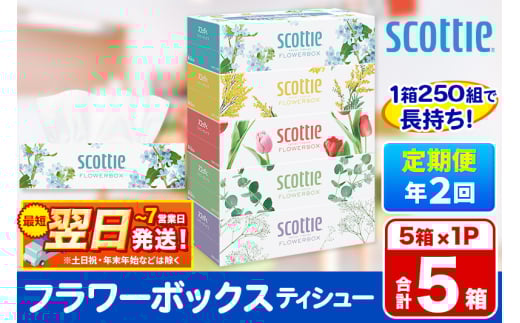 《6ヶ月ごとに2回お届け》定期便  ティッシュペーパー スコッティ ティシュー フラワーボックス 250組 5箱パック×1パック【レビューキャンペーン中】 秋田市オリジナル