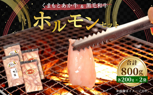 牛 ホルモン 焼き肉 計800g （あか牛ホルモン400g くまもと黒毛和牛ホルモン400g） 合計800g(200g×4袋)