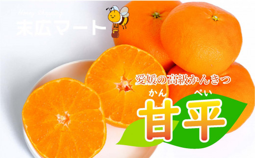 【2027年1月下旬から発送】甘平 かんぺい 約 3kg | 柑橘 みかん 蜜柑 ミカン 愛媛 中島 オリジナル 柑橘 ブランド 高級 糖度