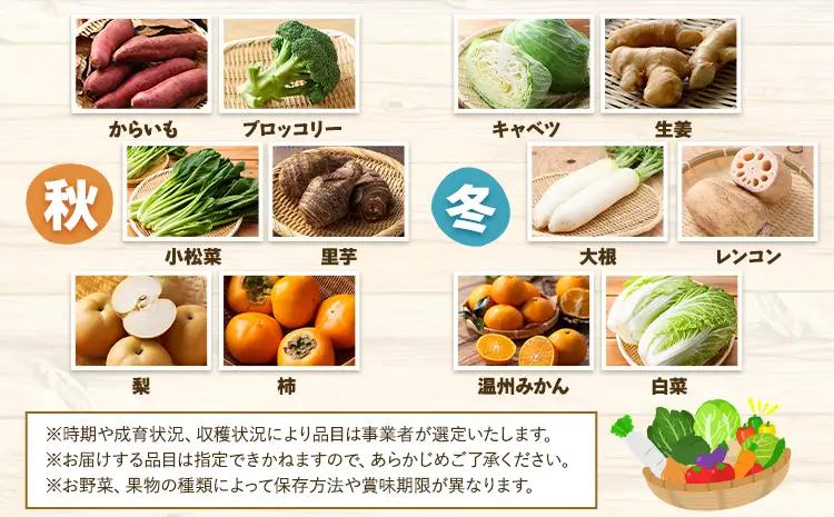 野菜果物詰め合わせセット 5-7品 野菜