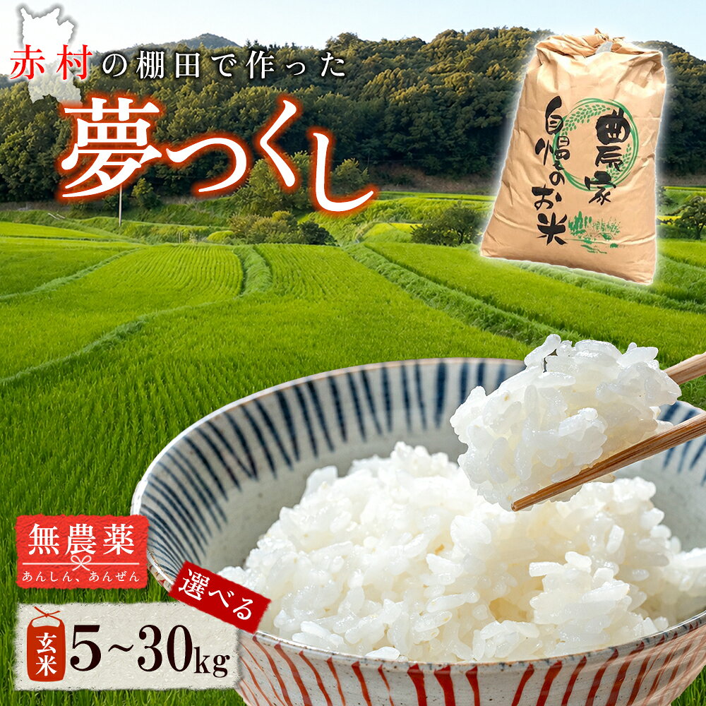 【ふるさと納税】 【 新米 】先行予約 令和8 年度産 赤村産 棚田米 無農薬 米 こだわり の夢つくし 玄米5〜30kg ＜選べる容量＞ 玄米 5kg / 玄米 10kg / 玄米 30kg (品番：J1-S)