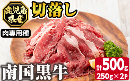 s140 鹿児島県産南国黒牛(肉専用種)切落し(計500g・250g×2パック)霜降りと赤身のバランスが絶妙な牛肉！様々な料理に使いやすい切り落としをお届けさつま町 特産品 鹿児島 国産 黒牛 牛肉 九州産 霜ぶり 赤身 フィレ ステーキ サイコロステーキ【カミチク】