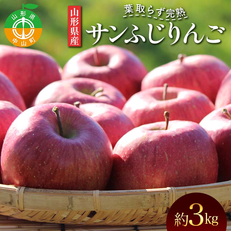 《2026年発送先行予約》山形県産 葉取らず完熟サンふじりんご 秀 約3kg 林檎 リンゴ フルーツ 果物 くだもの 山形県 中山町  F4A-1008