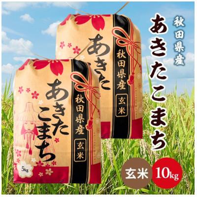 ふるさと納税 潟上市 【毎月定期便】秋田県産あきたこまち 10kg(5kg×2袋)(玄米)全12回