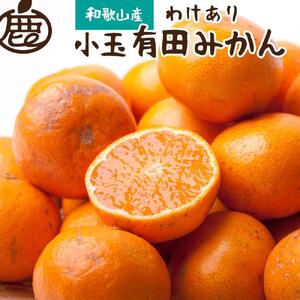 家庭用 小玉 有田みかん2.5kg+250g（傷み補償分）
