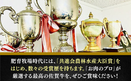 【冷凍で保管】佐賀牛ミンチ400g / ブランド牛 黒毛和牛 牛肉 / 佐賀県 / 田中畜産牛肉店[41ARAA008]
