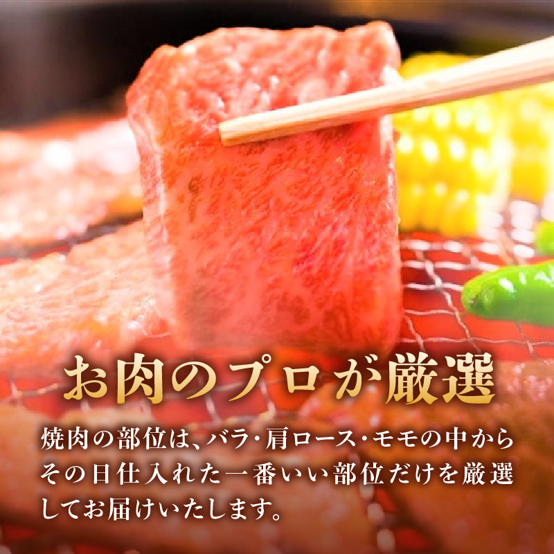 【A4～A5】博多和牛焼肉用 1kg（500g×2p） 黒毛和牛 焼肉 和牛 国産 牛肉 BBQ グルメ 1kg 焼肉 バラ 肩ロース モモ A4 A5 福岡県 八女市