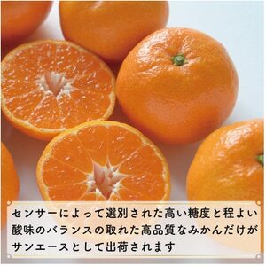【先行予約】特選温州みかん サンエース4kg 2L~S JA選果品【1644263】