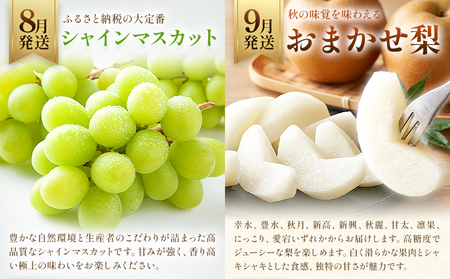 プレミアム フルーツ 定期便 5ヶ月連続 秀品 スペシャル 計35.6kg 日本フルーツ株式会社《2025年8月上旬-12月末出荷》熊本県 荒尾市 シャインマスカット おまかせ 梨 早生みかん 温州み