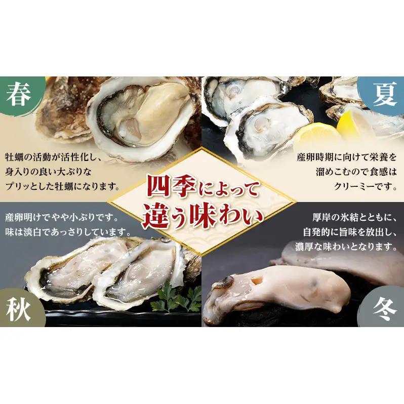 4月配送 訳あり ハーフ 規格外 牡蠣 北海道厚岸産 殻付カキ 約2kg（11～25個）カキナイフ付 生食 魚貝類 生牡蠣 かき 生カキ カキフライ マルえもん いびつな形 四季によって違う味わい コ
