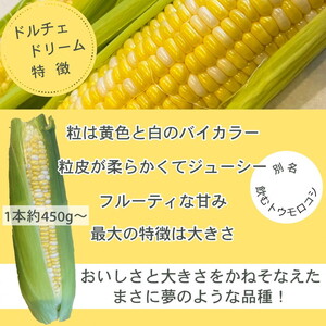 朝採れ とうもろこし 5kg スイートコーン ドルチェドリーム 甘い 早朝収穫〈アグリにのうみ〉京都 亀岡 農家直送 2024年産 先行予約 ※着日指定不可  ※北海道・沖縄・離島への配送不可 ※20