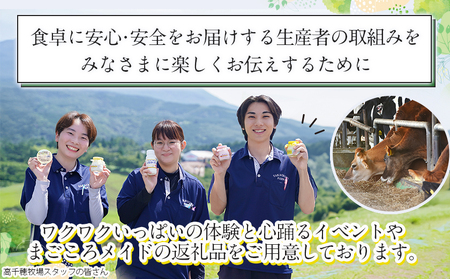 高千穂牧場ヨーグルト＆ドリンクファミリーセット《ご入金翌月の中旬～下旬の水曜日頃出荷》_17-1601_(都城市) ヨーグルト 苺ヨーグルト 季節のヨーグルト のむヨーグルト カフェオレ 和紅茶オレ 