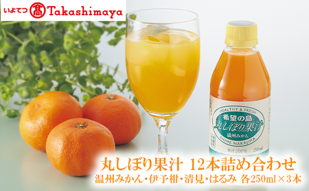 みかん 丸しぼり果汁 12本 飲み比べ セット| 愛媛 松山 みかんジュース みかんジュース みかんジュース みかんジュース【IYT020_x】