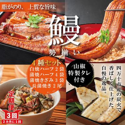 ふるさと納税 四万十市 【3回定期便】&lt;四万十食品&gt;長尾2尾+ハーフ4袋+きざみ3袋+白焼ハーフ2袋【2ヵ月に1回】R6