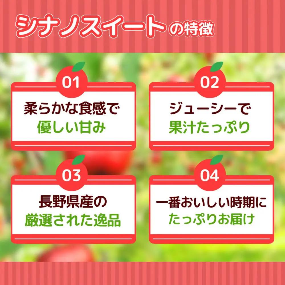 【10月中旬発送 先行予約】樹上熟成　シナノスイート 3kg | りんご シナノスイート りんご