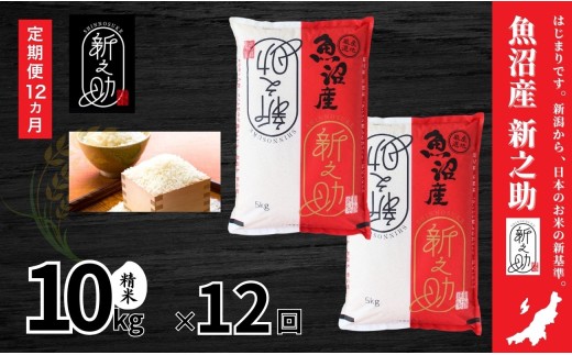 【令和８年度米 先行予約】【定期便 12ヶ月】 中魚沼産 新之助 10kg(5kg×2袋) × 12回 令和8年産 | しんのすけ 新之助 米 お米 新潟 魚沼 定期 コメ おこめ 白米 精米 ご飯 ごはん ブランド米 新潟県 津南町 有限会社イタバ