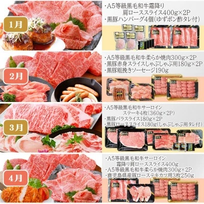 お肉の定期便(12回)枕崎お楽しみ便(A5等級黒毛和牛・黒豚・黒豚加工品etc)KK-6003【1166746】ふるさと納税 定期便 牛肉 豚肉 霜降り 焼肉 しゃぶしゃぶ 生姜焼き サーロイン ステ