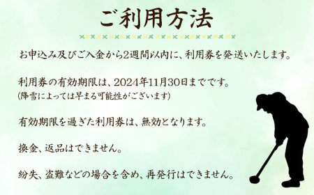 【1日利用券】北海道鹿部町パークゴルフ場 パークゴルフ 1日利用券 １名様 スポーツ プレー券