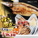 【ふるさと納税】漁師町佐島 干物詰め合わせ5種 2人前セット キンメ鯛 アジ カマス イワシ イカ 横須賀 【石川水産】[AKCX003]