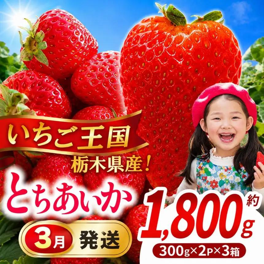 【先行予約】【期間限定】那珂川町産とちあいか 3月発送分 300g×2×3 | いちご とちあいか ジューシー フルーティー 大きい 新鮮 甘い 美味しい 果物 共通返礼品 フルーツ デザート 栃木県 那珂川町 送料無料