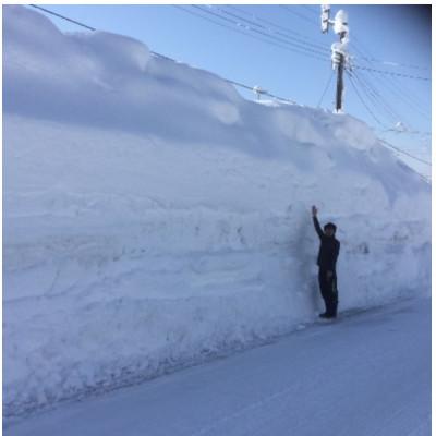 ふるさと納税 魚沼市 【毎月定期便】おいしい無洗米　雪室貯蔵お米マイスター厳選　魚沼産コシヒカリ100%　2.5kg全6回 |  | 02