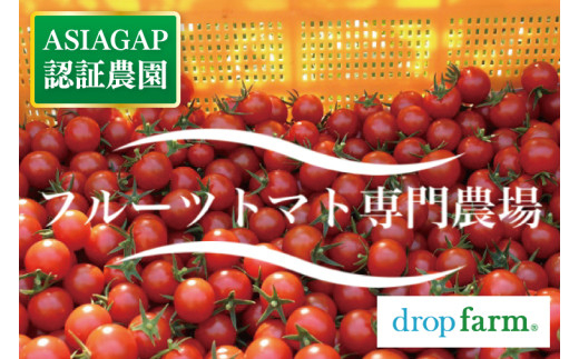 【5月配送】ドロップファームの美容トマトおまかせ3kg箱(４種ミックス）【とまと フルーツトマト 野菜ソムリエ 朝採れ アイコ イエローアイコ 小鈴 フルティカ 野菜 フレッシュ リコピン 大容量 茨城県 水戸市】（CK-101-5）