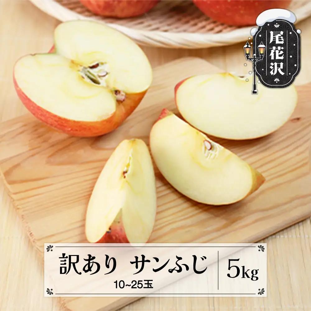 りんご 訳あり 約5kg サンふじ