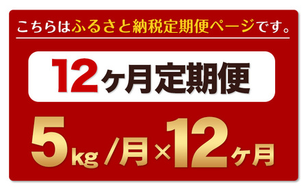 令和6年産 新米 【12ヶ月定期便】 ひのひかり 白米 5kg 5kg×1袋 計12回お届け 熊本県産 こめ コメ 白米 精米 荒尾市 ひの 米 定期 《お申込み月の翌月から出荷開始》 美味しい米 お