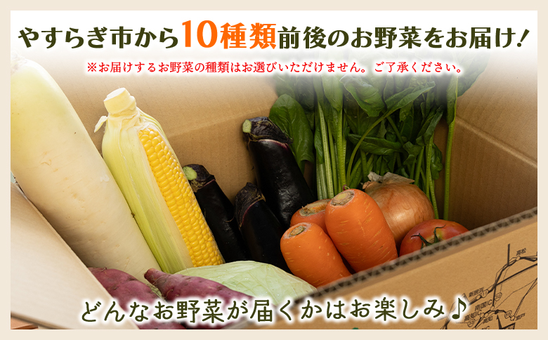 先行予約！産地直送やさいBOX - 野菜 ベジタブル おまかせ 詰め合わせ セット 季節 旬 お任せ 10種類前後 お楽しみ ヘルシー 国産 特産品 送料無料 やすらぎ市 高知県 香南市 冷蔵 yr-