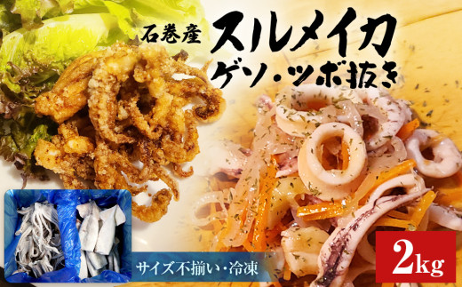 石巻市産 スルメイカ 2kg イカゲソ イカツボ抜き 詰め合せセット 冷凍 国産 スルメイカゲソ1kg  スルメイカ ツボ抜き1kg 食べ比べ 唐揚げ マリネ ゲソ天 バラ冷凍 不揃い 加熱用 海鮮 いか 下足 イカ おつまみ 魚介類 焼イカ バーベキュー BBQ 宮城県 石巻市