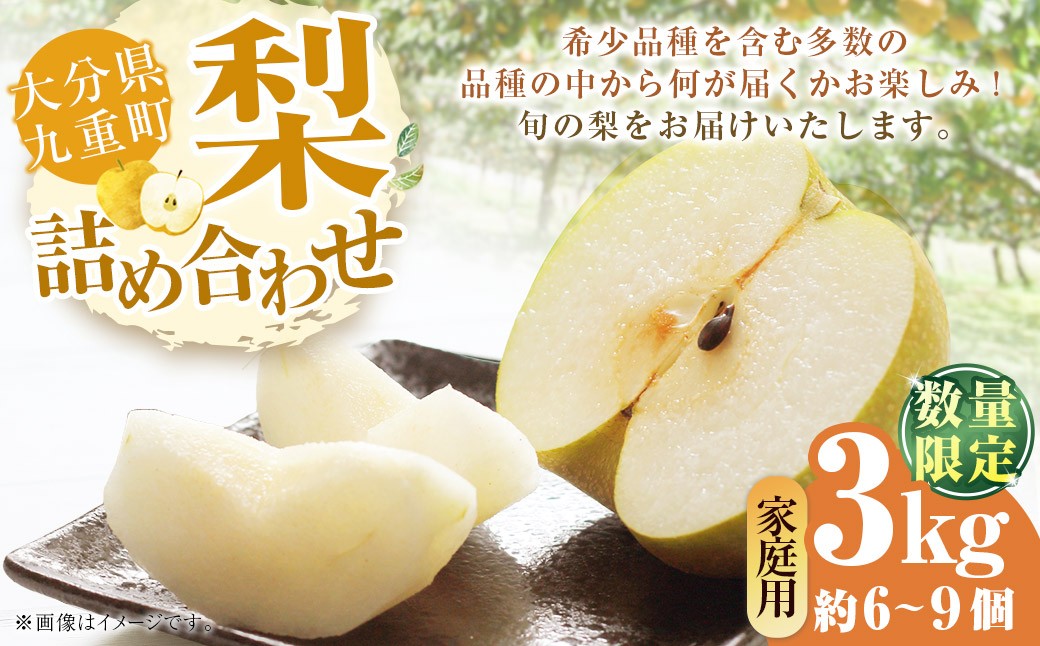 
                  【 ご家庭用 】 九重町産 梨 詰め合わせ 約3kg （ 約6～9個 ） なし ナシ フルーツ 果物 くだもの 果実 旬 おやつ デザート スイーツ 国産 家庭用 詰合せ 【 2026年8月上旬～10月下旬まで順次発送予定 】 
                