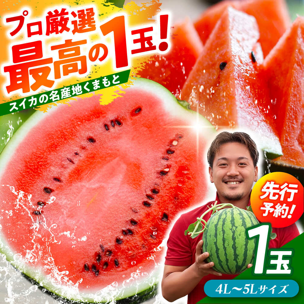 【ふるさと納税】【先行予約】 大玉スイカ！ 4L〜5Lサイズ（約9kg〜11kg）　厳選 1玉！ すいかの名産地 熊本からお届け 【城野農園】[ZFV002]