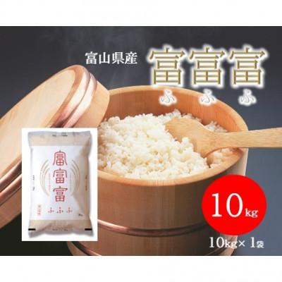 ふるさと納税 氷見市 令和7年産 富山県産 富富富 精米 10kg ブランド米