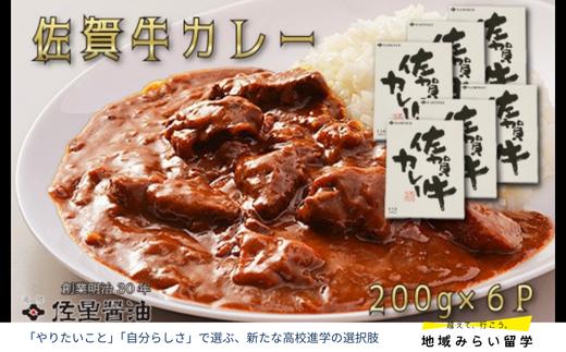 
            佐星醤油 佐賀牛カレー6個セット
          