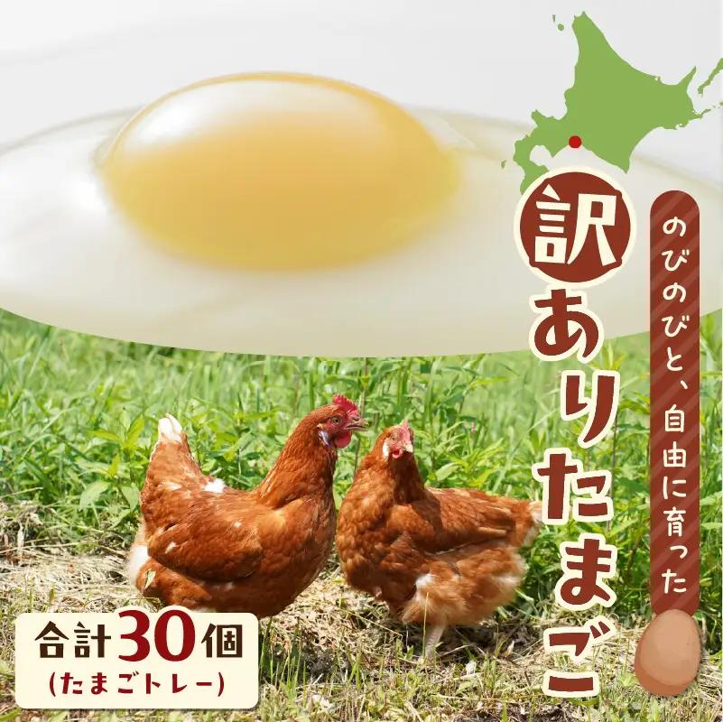 訳あり たまご　（ たまごトレー ） T074-002 卵