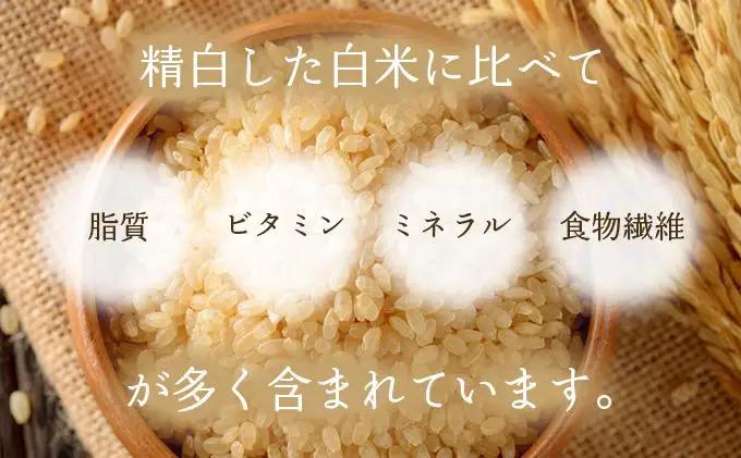 K-2.自家製粉　玄米粉　200g×7袋