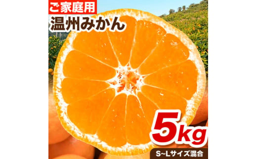 ご家庭用 温州みかん 5kg (S～Lサイズ混合) 和田果樹園《11月上旬-2月上旬頃出荷》 和歌山県 紀の川市 みかん ミカン 果物 フルーツ 温州みかん ご家庭用 送料無料