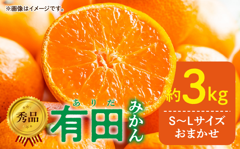 DZ6009n_秀品 有田みかん 和歌山県産 S～Lサイズ 大きさお任せ 約3kg