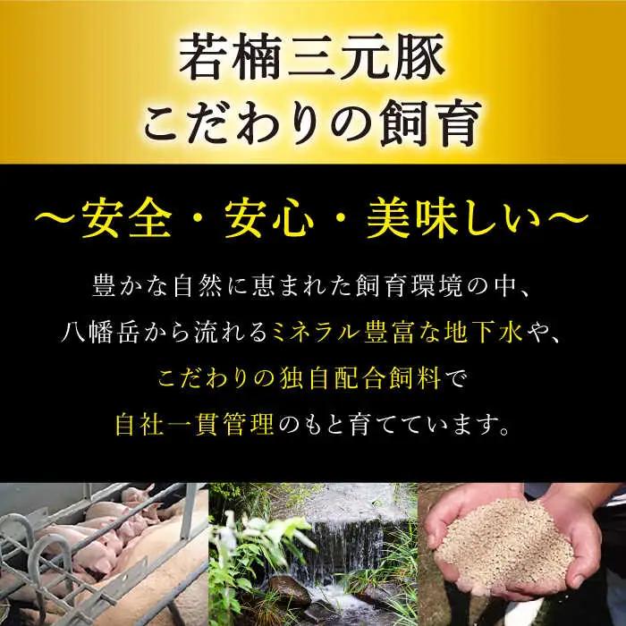 【12回定期便】若楠三元豚 切り落とし 1kg /ナチュラルフーズ [UBH076] 切り落とし